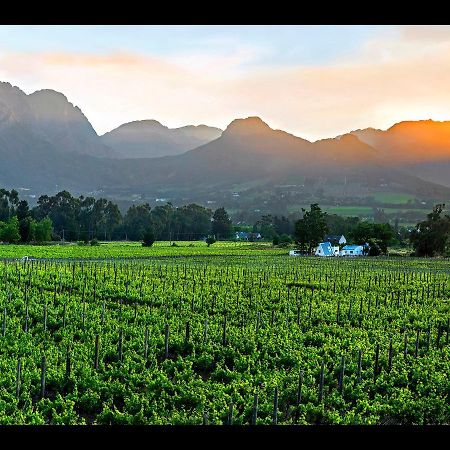 Sorbonne 1 - No Loadshedding Apartman Franschhoek Kültér fotó